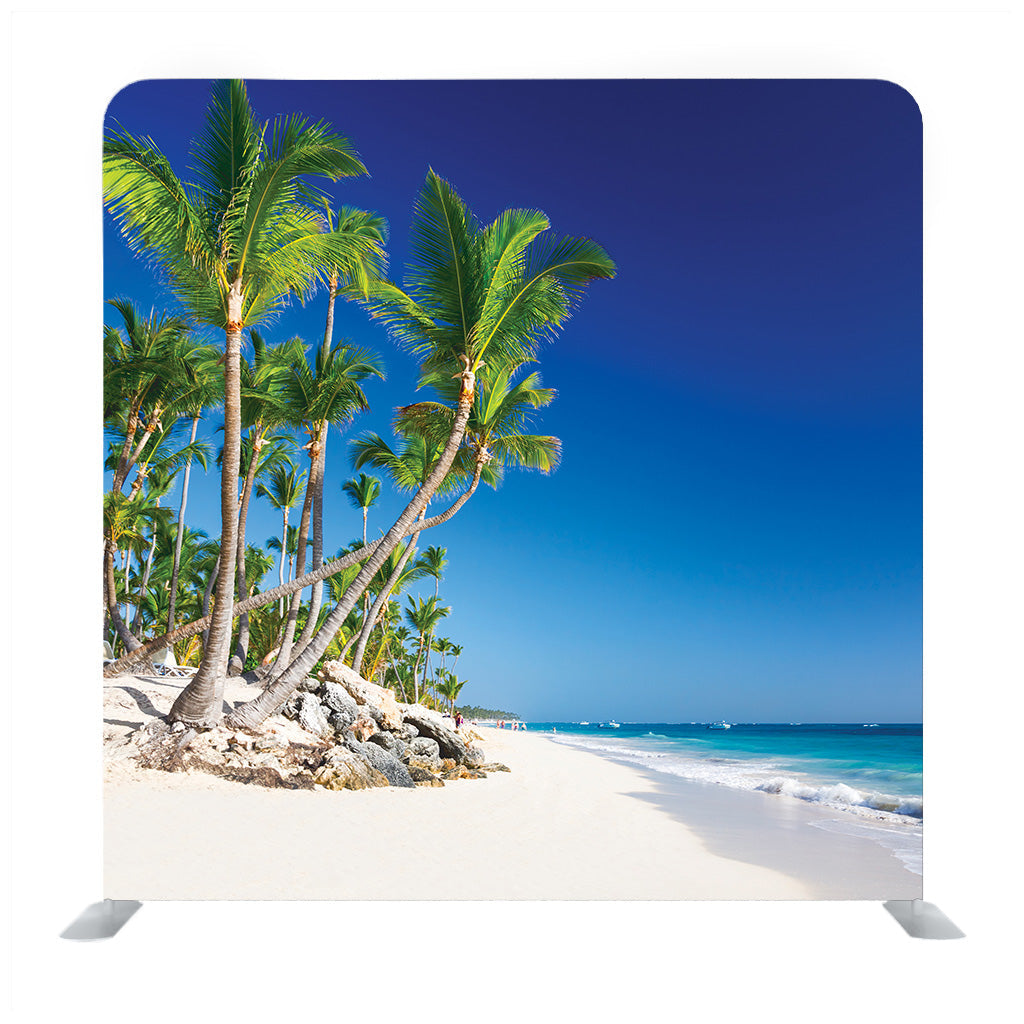 Palm trees along a tropical beach Media wall - Backdropsource