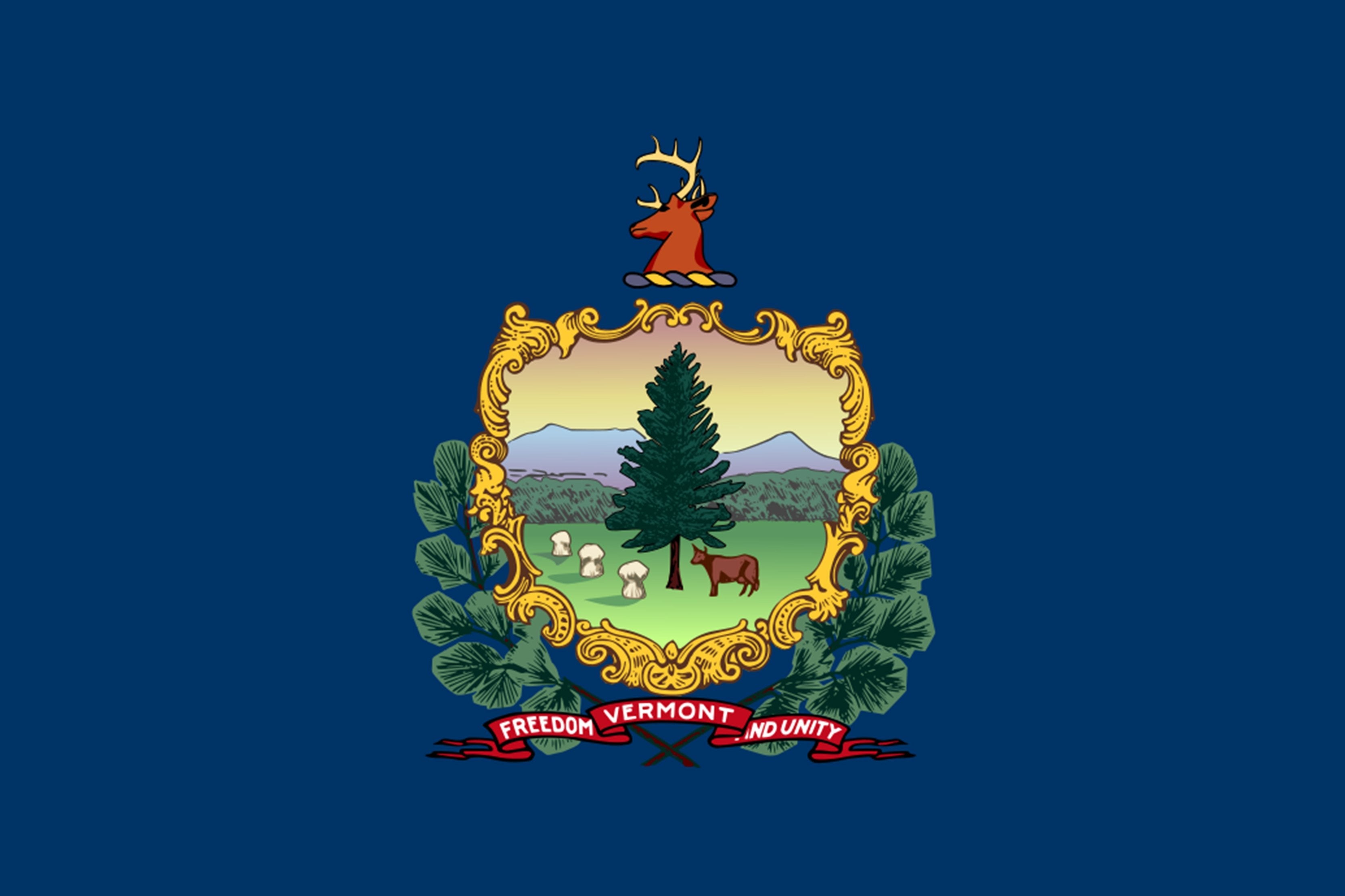 Vermont State Flag - Backdropsource